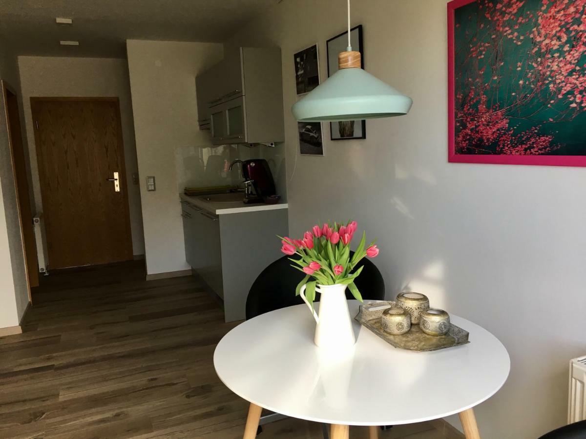 Apartmán Erholen Garantiert Drážďany Exteriér fotografie